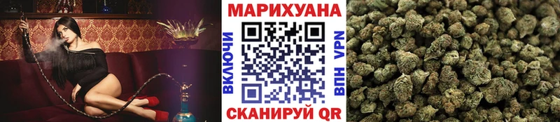 цена   Куровское  Каннабис планчик 